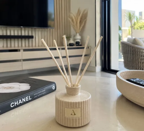 Aromatica Pottery Reed Diffuser in a modern living room